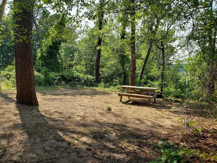 Camping Area 6 Picture 3