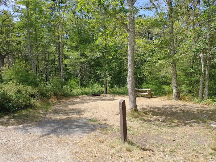 Camping Area 6 Picture 6