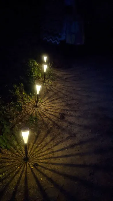 Camping Area 7 Picture 1