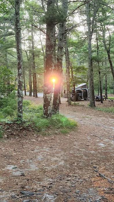 Camping Area 7 Picture 2