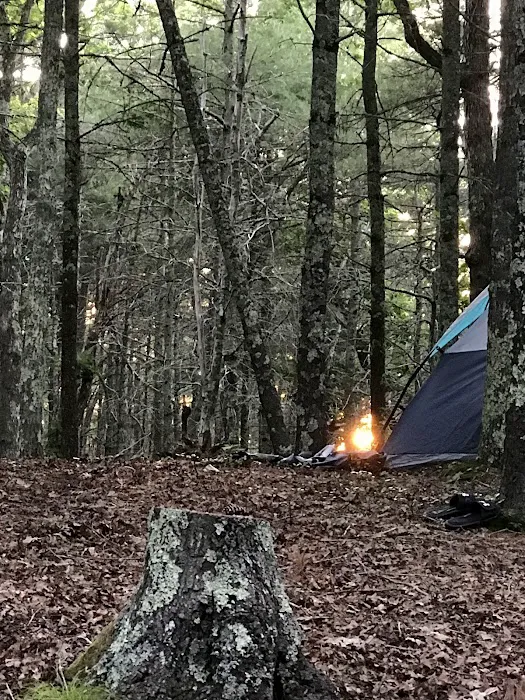 Nickerson State Park - Area 7 Picture 7