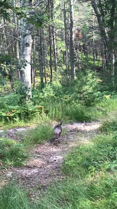 Nickerson State Park - Area 7 Picture 5