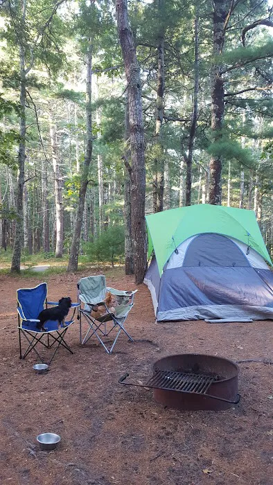 Nickerson State Park - Area 7 Picture 6