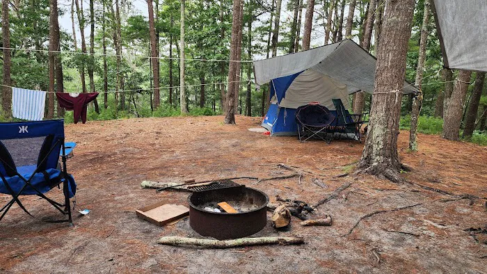 Nickerson State Park - Area 7 Picture 4