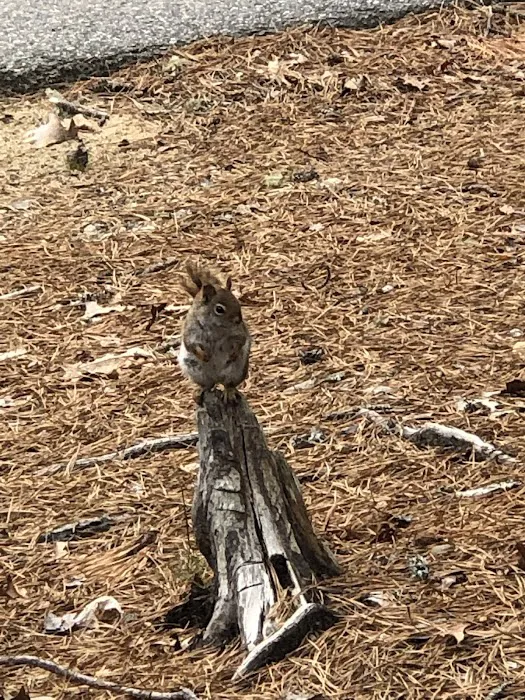 Nickerson State Park - Area 5 Picture 3