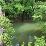 15 Mile Creek Campground