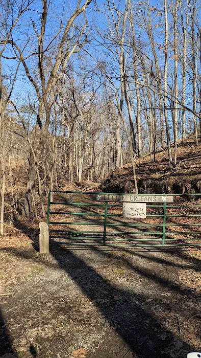 Little Orleans Cabin (PATC) Picture 4