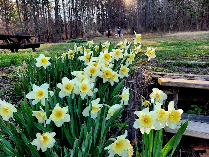 Little Orleans Cabin (PATC) Picture 7