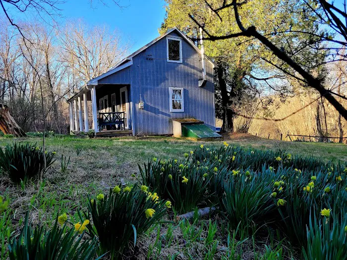 Little Orleans Cabin (PATC) Picture 8