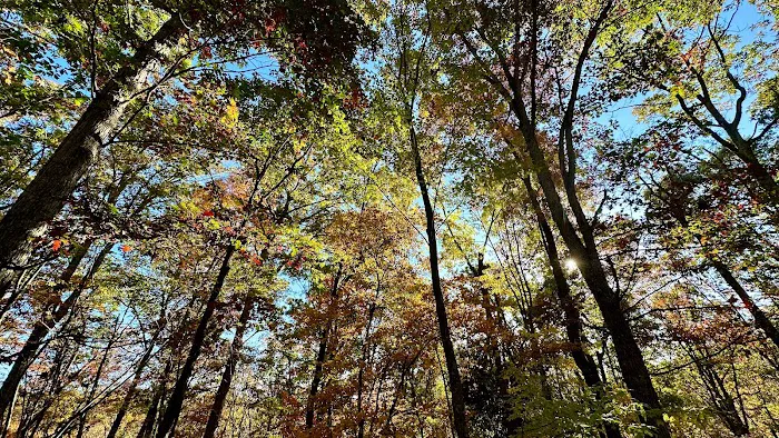 Gary's Family Campground Picture 5