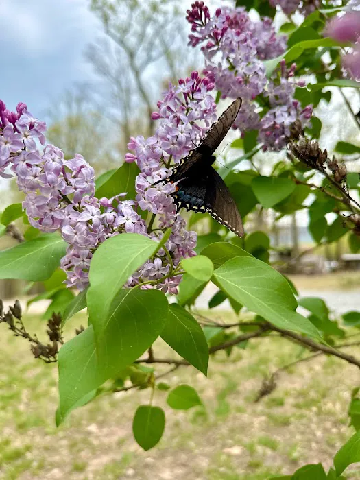 Gary's Family Campground Picture 2