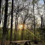 Gary's Family Campground