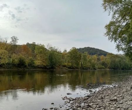 Stickpile Hill Campsite