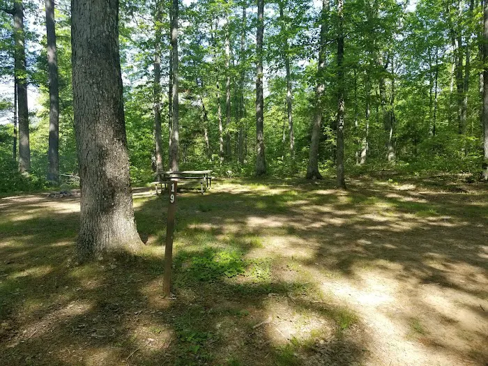 Green Ridge State Forest Campsite 19 Picture 1