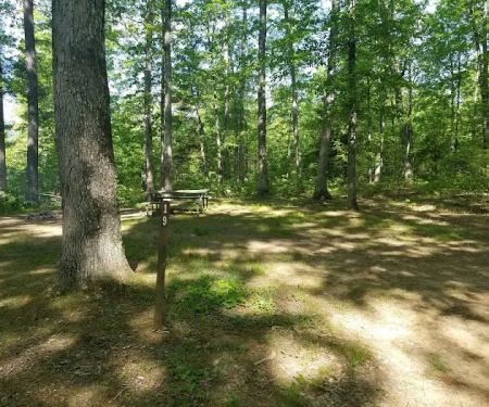 Green Ridge State Forest Campsite 19