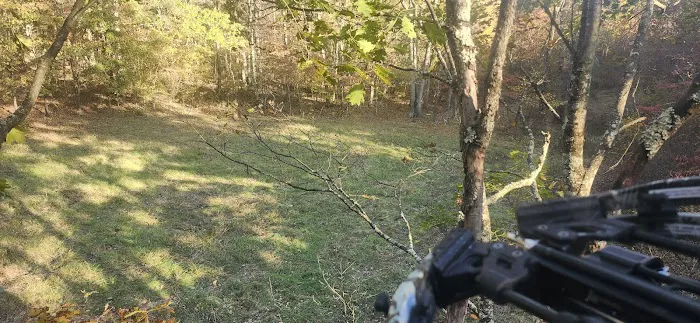 Campsite 78 Picture 3