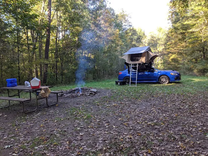 Campsite 78 Picture 5