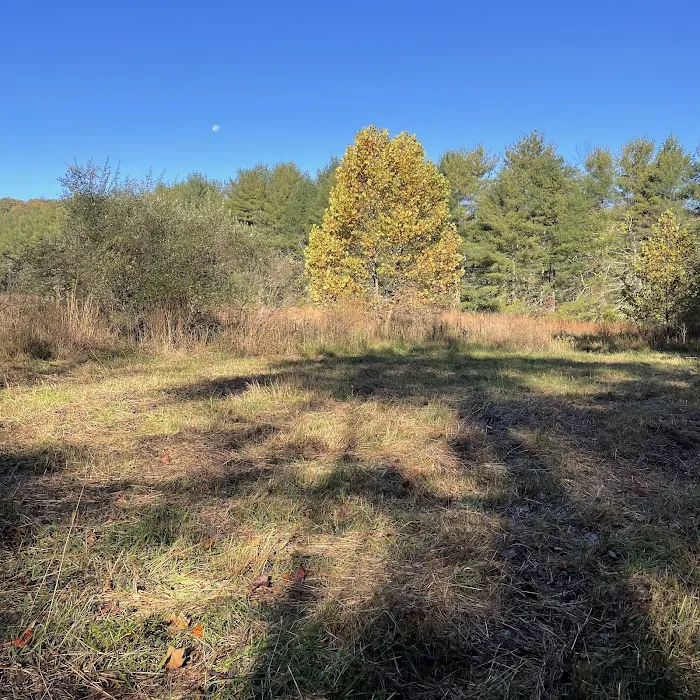 Campsite 78 Picture 8