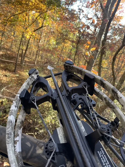 Campsite 78 Picture 4