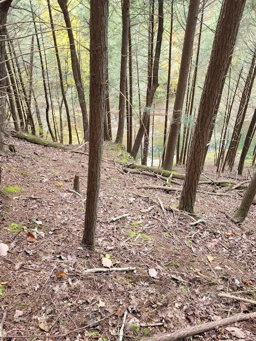 Campsite 78 Picture 10