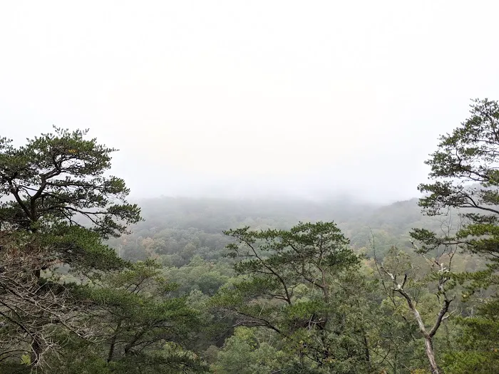 Campsite 78 Picture 2