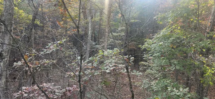 Campsite 78 Picture 6