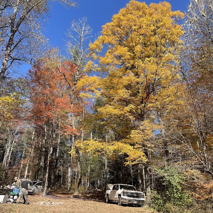 Campsite 78 Picture 7