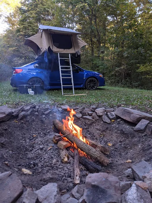 Campsite 78 Picture 9