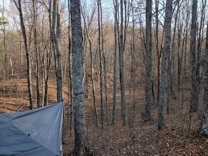 Campsite 77 Picture 4