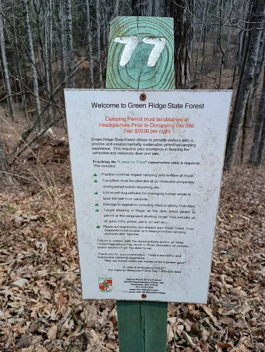 Campsite 77 Picture 3