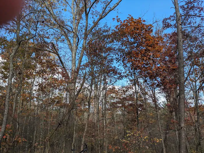 Campsite 77 Picture 2