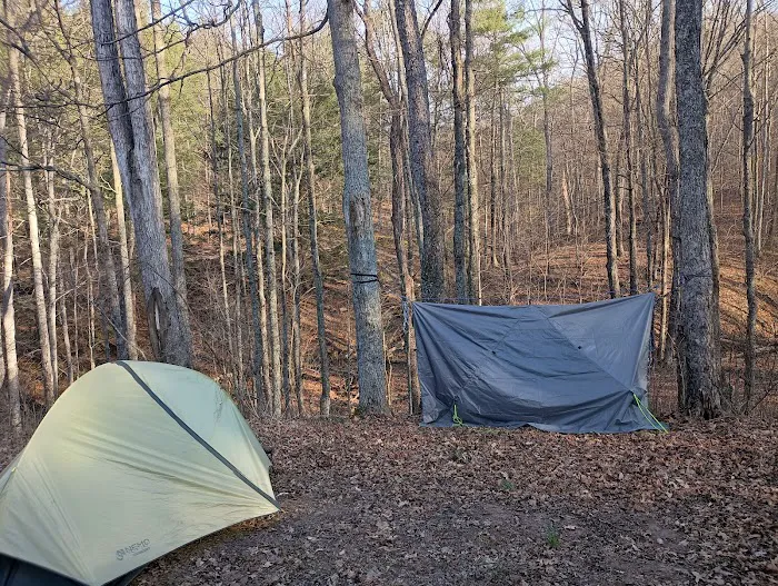 Campsite 77 Picture 5