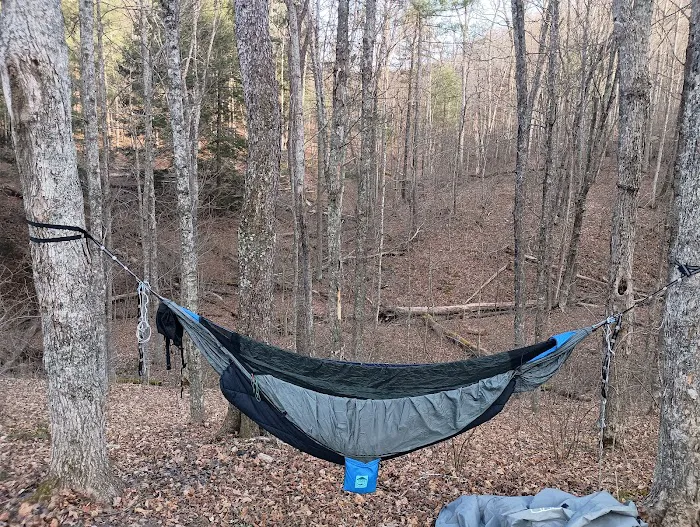 Campsite 77 Picture 6