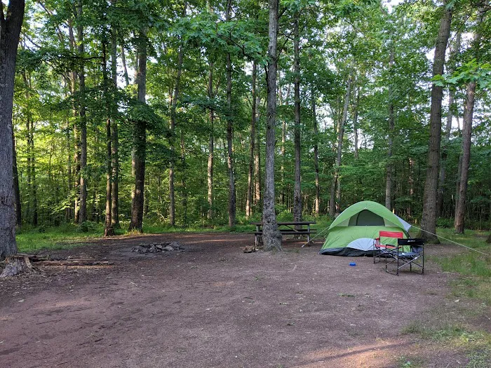 Campsite 74 Picture 1