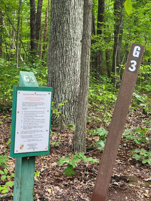 Group Campsite G-3 Picture 1