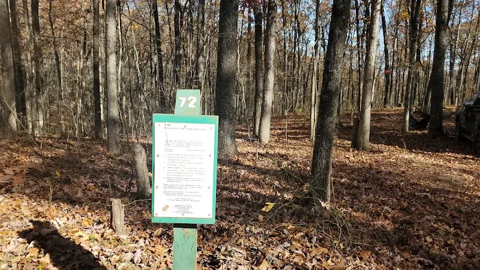 Campsite 72 Picture 7