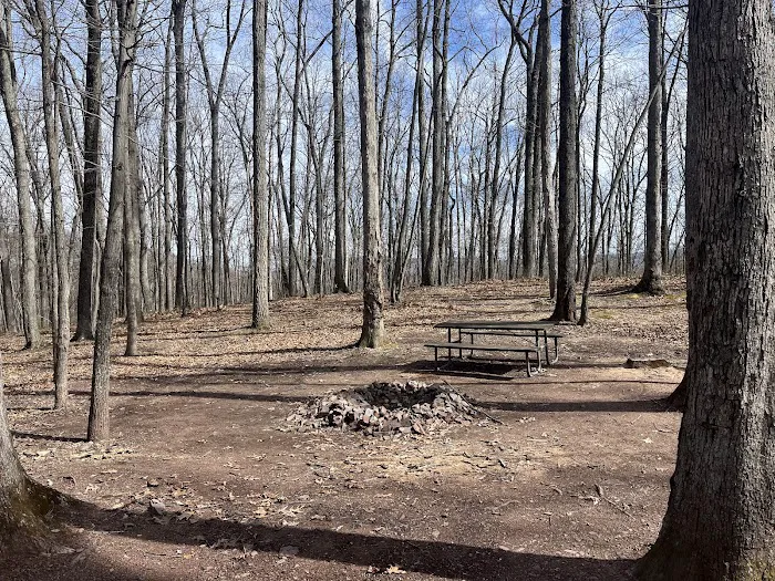 Campsite 72 Picture 1