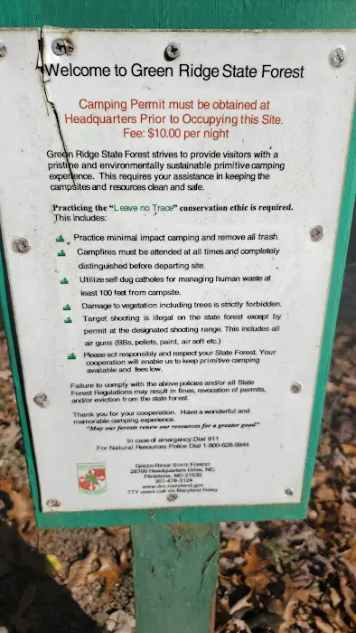 Campsite 72 Picture 4