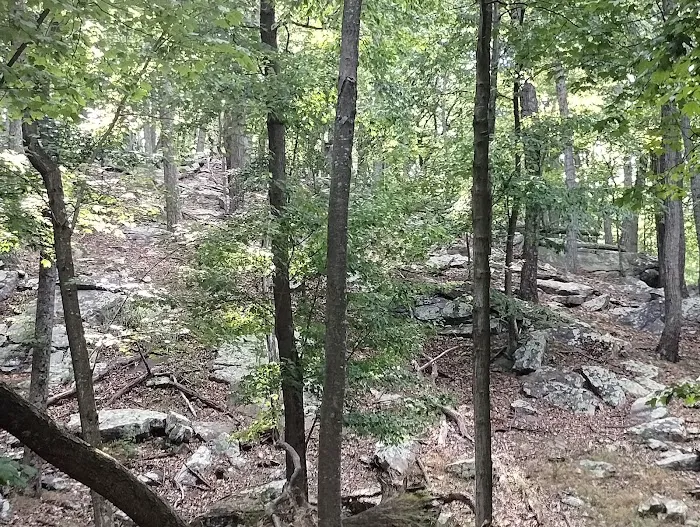 Cacapon State Park Cabins Picture 1