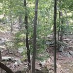 Cacapon State Park Cabins