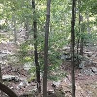 Cacapon State Park Cabins ico