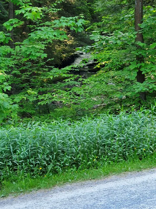 Kooser State Park Family Cabin District Picture 8