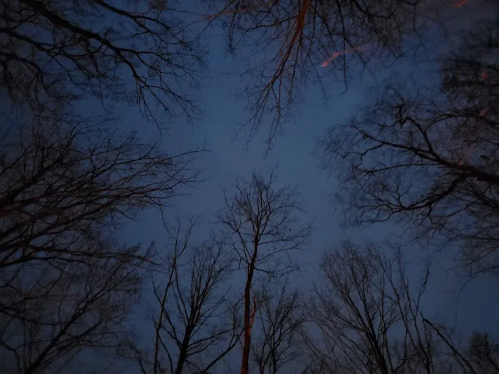 Somerset Cabin Retreat at Willamy Pines Picture 7