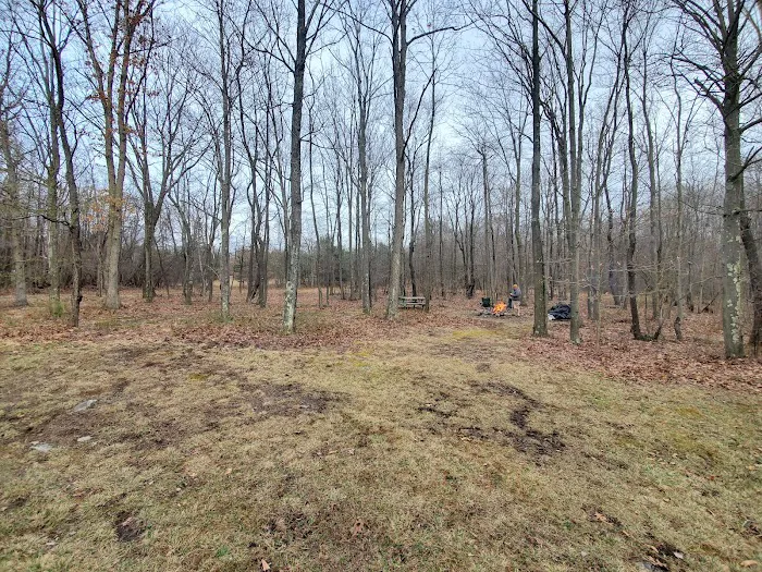 Somerset Cabin Retreat at Willamy Pines Picture 8