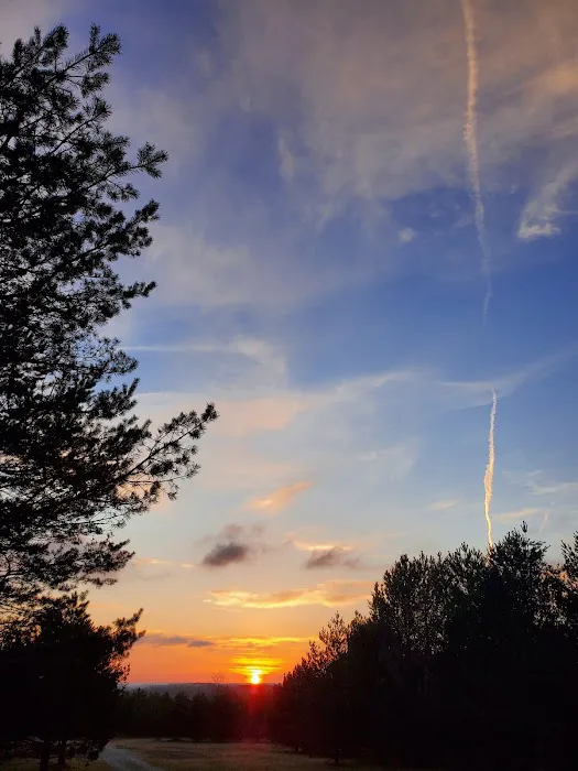 Somerset Cabin Retreat at Willamy Pines Picture 1