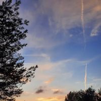 Somerset Cabin Retreat at Willamy Pines ico