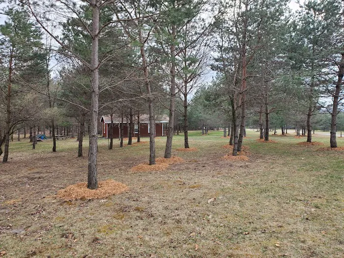 Somerset Cabin Retreat at Willamy Pines Picture 10