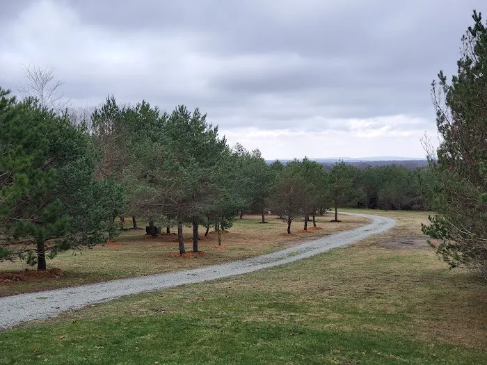 Somerset Cabin Retreat at Willamy Pines Picture 4