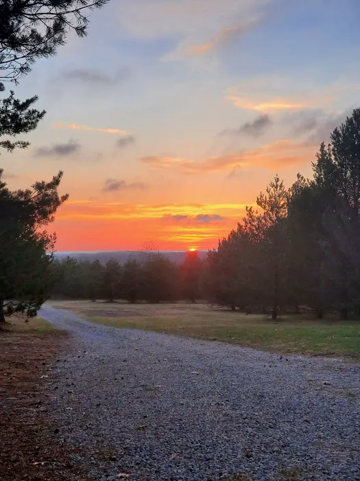 Somerset Cabin Retreat at Willamy Pines Picture 3