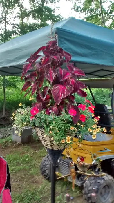 Laurel Hill State Park Group Campground Picture 2